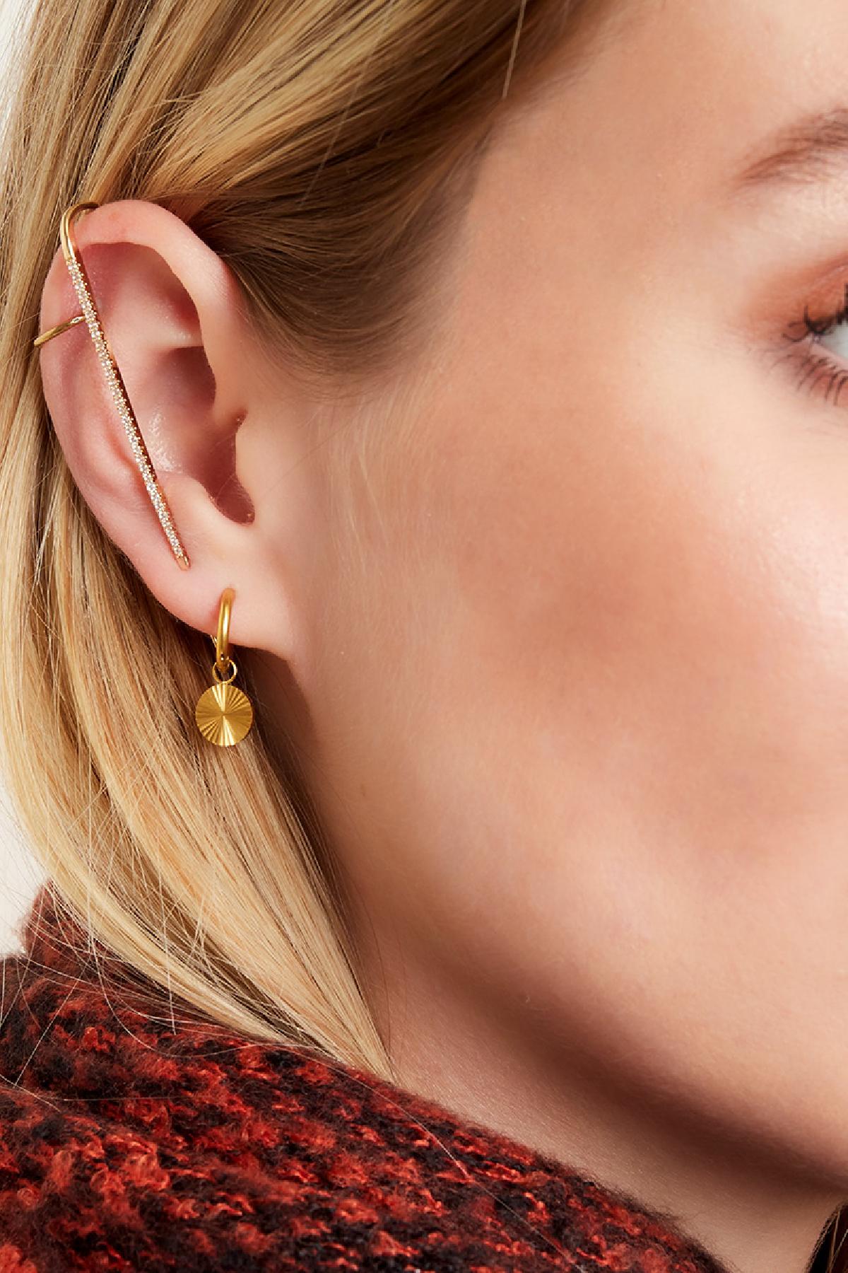 CIRCLE OORBELLEN ZILVER